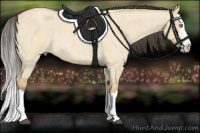 Horse Color:Buckskin Roan Dun Mushroom Splash 