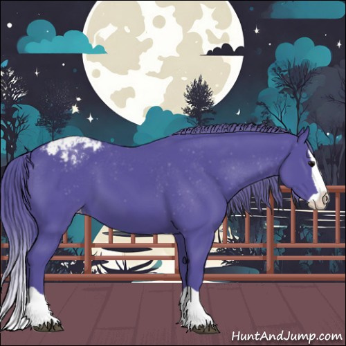 Horse Color:Watercolor Black Splash Appaloosa 