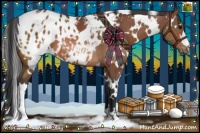 Horse Color:White Spotted Bay Appaloosa