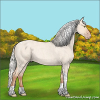 Horse Color:Silver Classic Champagne Roan Dun Tobiano Rabicano
