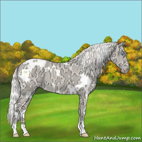 Horse Color:White Spotted Cremello Ice 