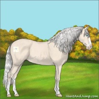 Horse Color:Silver Perlino Splash