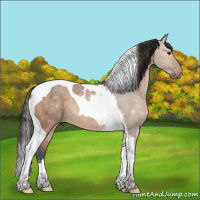 Horse Color:Bay Dun Tobiano 