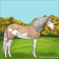Horse Color:Silver Classic Champagne Splash Frame 