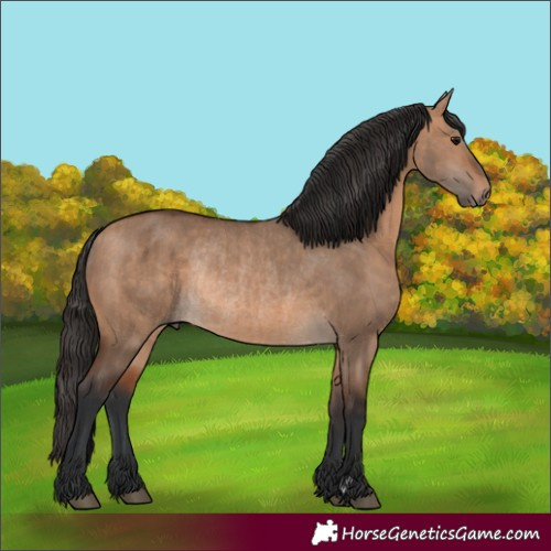 Horse Color:Brown Dun Rabicano and Bay Dun Rabicano