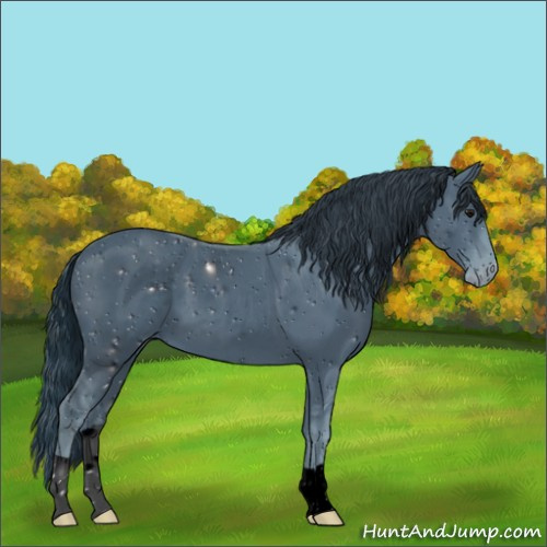Horse Color:ERROR: UNKNOWN ANOMALY