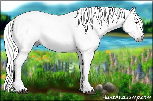 Horse Color:Gray Silver Black Pearl Tobiano 