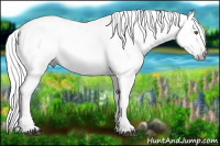 Horse Color:Gray Silver Black Pearl Tobiano 