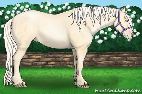 Horse Color:Palomino Pearl 