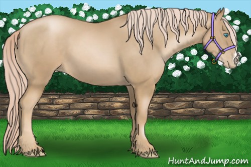 Horse Color:Chocolate Palomino Pearl