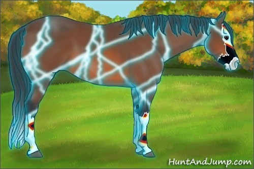 Horse Color:Thunderstruck Bay Sabino Splash 
