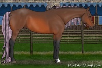 Horse Color:Painted Brown 