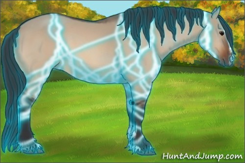 Horse Color:Thunderstruck Bay Dun Sabino 