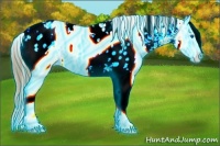 Horse Color:Thunderstruck Amber Cream Champagne Onyx Sabino Splash Appaloosa 