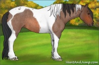 Horse Color:Bay Roan Tobiano