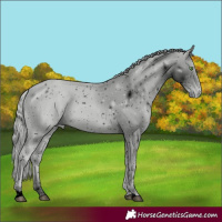 Horse Color:ERROR: UNKNOWN ANOMALY