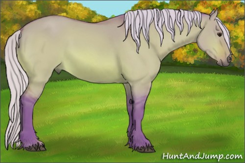 Horse Color:Watercolor Silver Bay Dun Sabino 