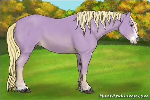 Horse Color:Watercolor Chestnut Sabino 