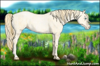 Horse Color:Buckskin Roan Pearl  and Amber Cream Champagne Roan Pearl 