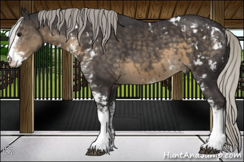 Horse Color:Silver Smoky Black Sabino 
