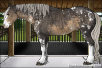 Horse Color:Silver Smoky Black Sabino 