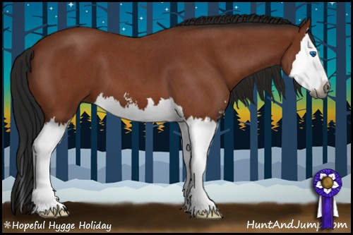 Horse Color:Gray Bay Roan Sabino Splash