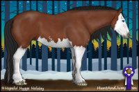 Horse Color:Gray Bay Roan Sabino Splash 