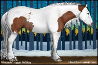 Horse Color:Gray Bay Sabino Splash Tobiano Rabicano 