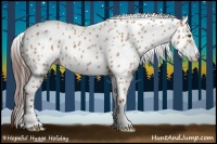 Horse Color:Bay Dun Sabino Appaloosa 