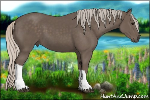 Horse Color:Silver Black 