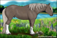 Horse Color:Silver Black 