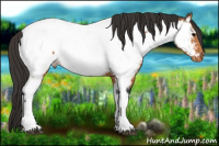 Horse Color:Bay Tobiano Near Fewspot
