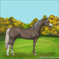 Horse Color:Silver Black 