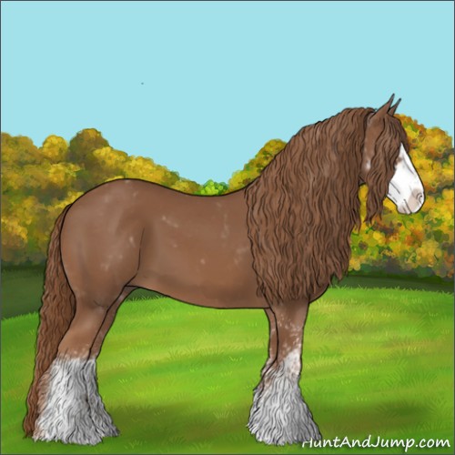 Horse Color:Chestnut Sabino 