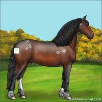 Horse Color:Brown 