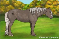 Horse Color:Silver Black