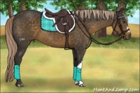 Horse Color:Chocolate Palomino 