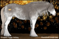 Horse Color:White Spotted Silver Black 