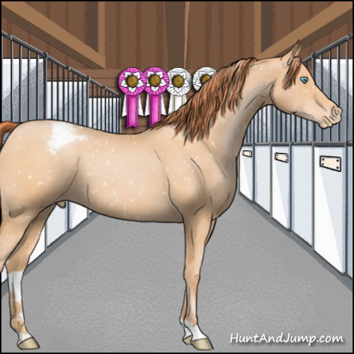 Horse Color:Buckskin Pearl Snowflake Varnish