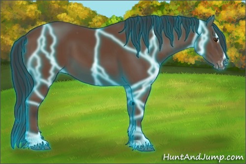 Horse Color:Thunderstruck Bay Sabino Appaloosa 