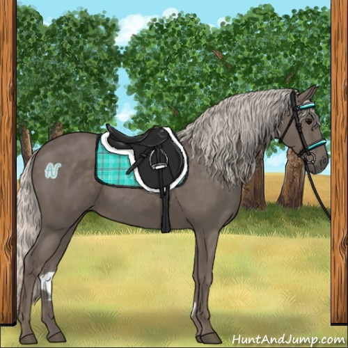 Horse Color:Silver Black 