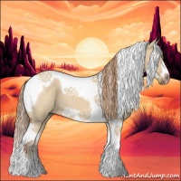 Horse Color:Red Dun Splash Tobiano Frame 