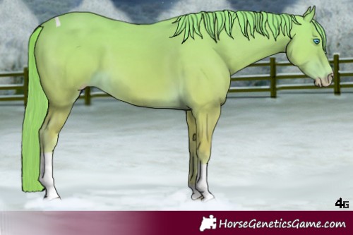 Horse Color:Perlino Tobiano