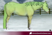 Horse Color:Perlino Tobiano