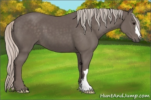 Horse Color:Silver Black 