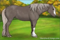 Horse Color:Silver Black 