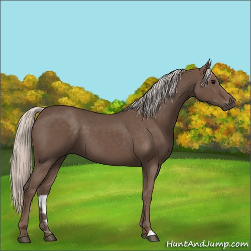 Horse Color:Silver Black 
