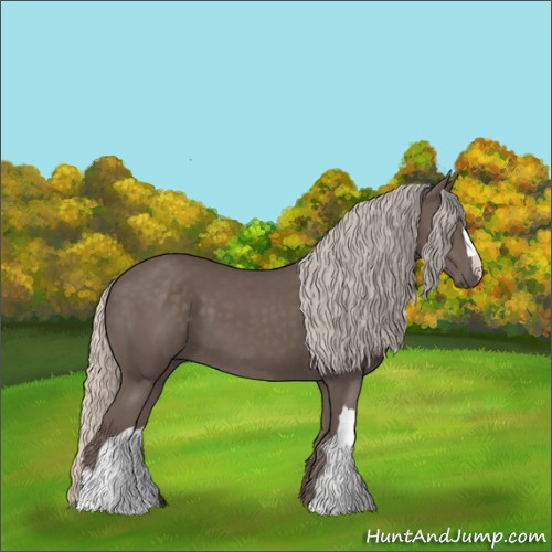 Horse Color:Silver Black 