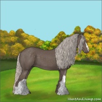 Horse Color:Silver Black 