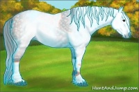 Horse Color:Gray Thunderstruck Bay Tobiano 